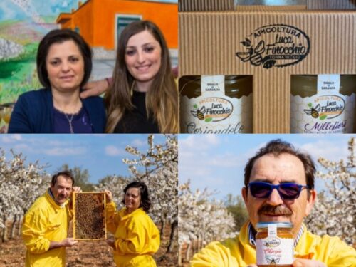 Tornareccio, Luca Finocchio, produce e vende il miele nel mondo