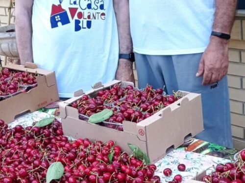 Ari, al via “Le Ciliegie della Solidarietà”